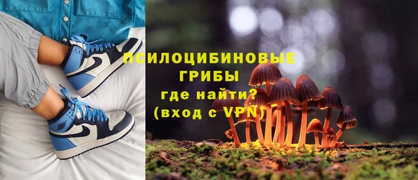 трава Инта