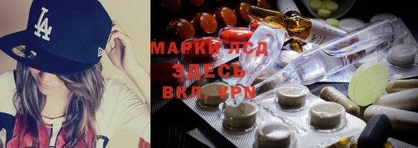 PSILOCYBIN Зеленодольск