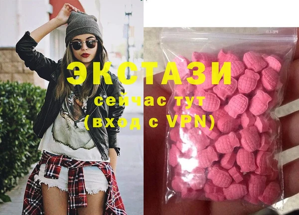 трава Инта