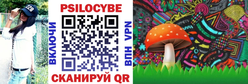 Купить где  Елабуга  Псилоцибиновые грибы Magic Shrooms 